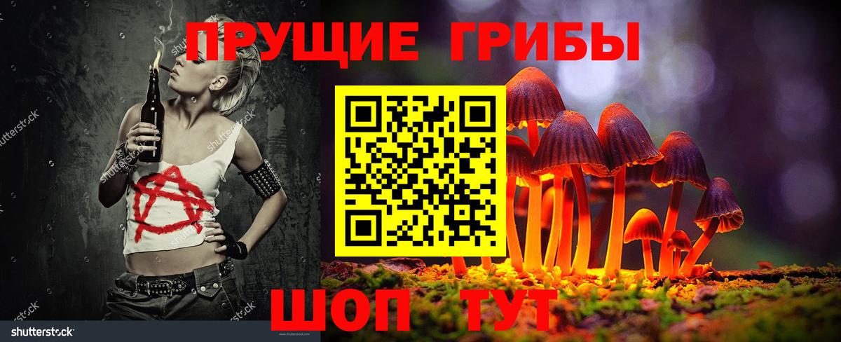 Донецк  Псилоцибиновые грибы Psilocybine cubensis  Вход с VPN 